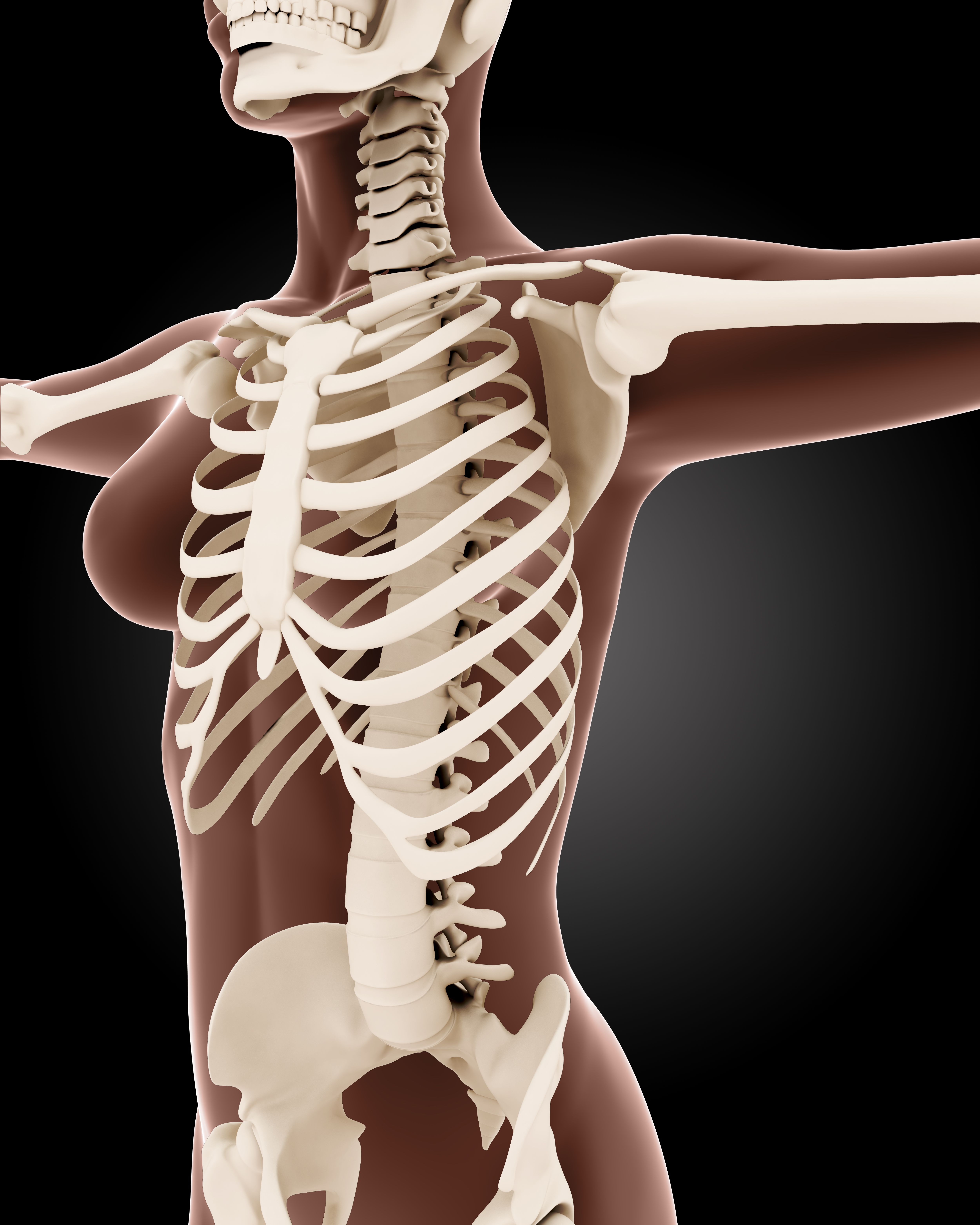 Скелетно-мышечный ультразвук по международным стандартам