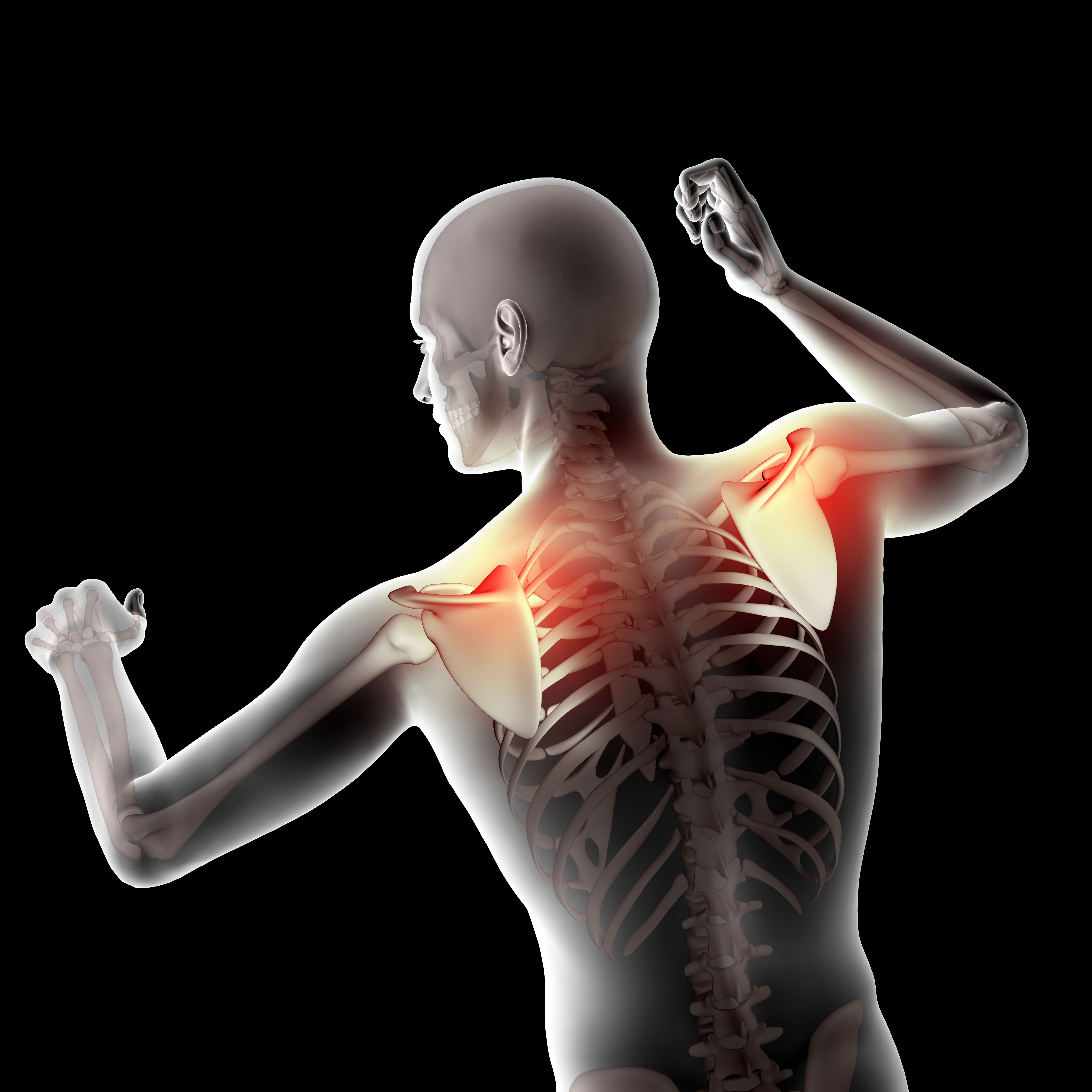 Ультразвуковая диагностика плечевого сустава по международным стандартам